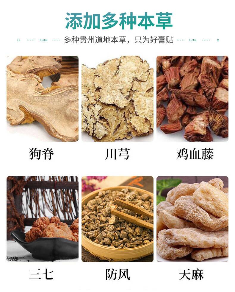 股骨頭保健貼-詳情頁_05.jpg